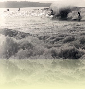 Fairy Bower, photographer unknown, 1960. Courtesy John Knobel++