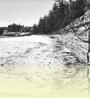 Sea wall and barbed wire entanglements on the beach front at Manly <br>Photographer unknown, 27 November 1942 Australian War Memorial ++